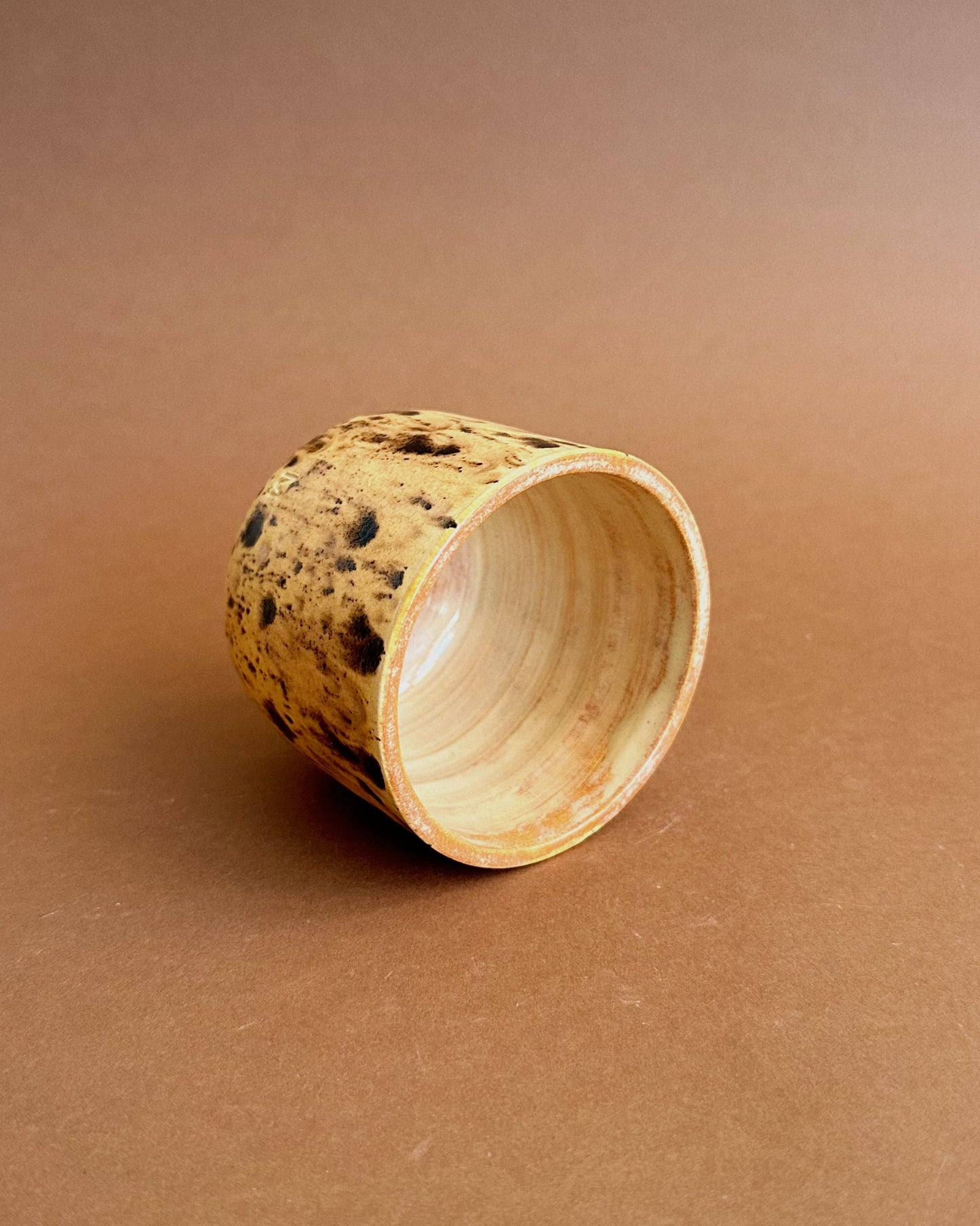 Studio Cup