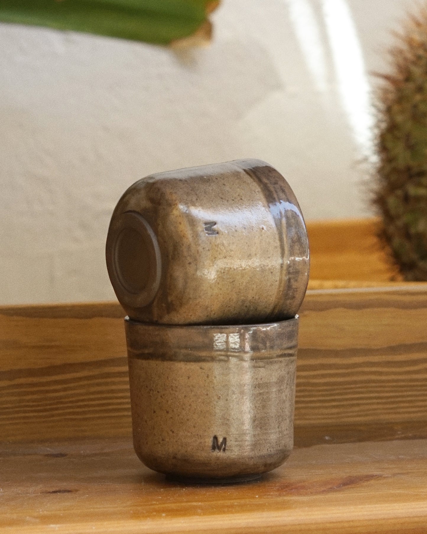 Studio Cup Tierra